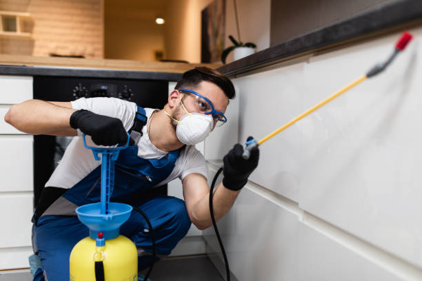 Best Rat Extermination Near Me  in Gridley, CA