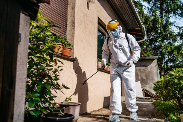 Trusted Gridley, CA Pest Control Experts