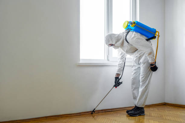 Best Insect Control  in Gridley, CA
