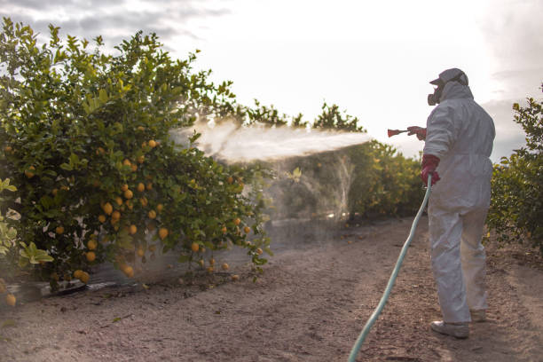 Insect Control in Gridley, CA